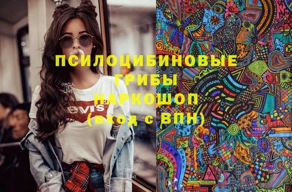 спиды Алзамай