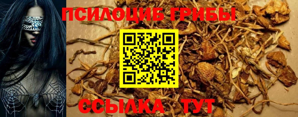 Галлюциногенные грибы GOLDEN TEACHER  Галлюциногенные грибы Psilocybe  Биробиджан  Вход с VPN 