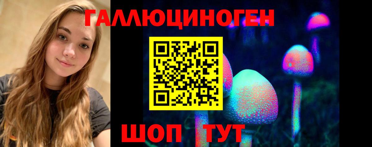 Псилоцибиновые грибы прущие грибы Биробиджан